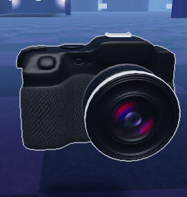 Camera hability